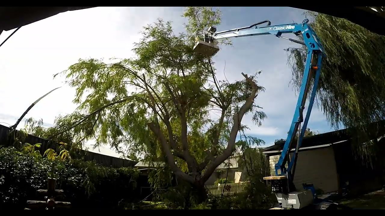 Extreme Tree Prune