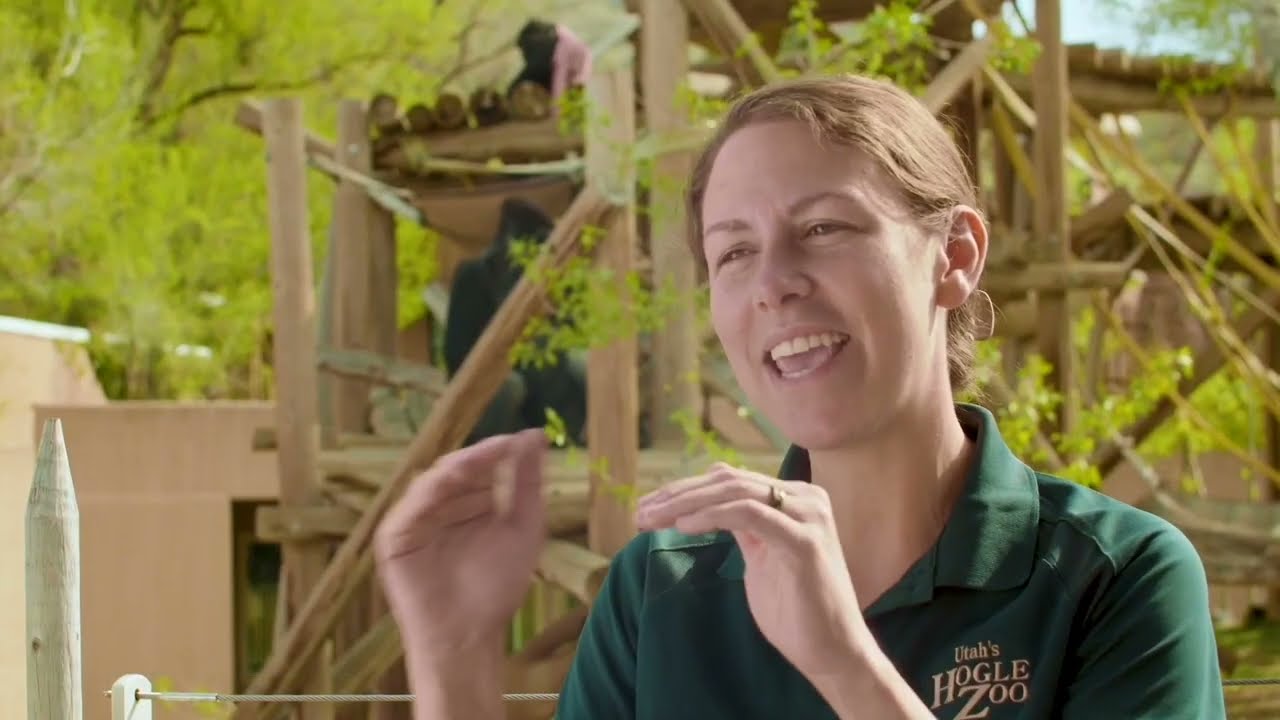 Working at Utah's Hogle Zoo