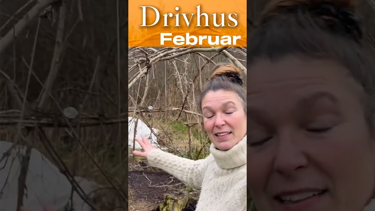 Hvad mangler jeg? Hvad kan du gøre? Køkkenhave tur og drivhus februar
