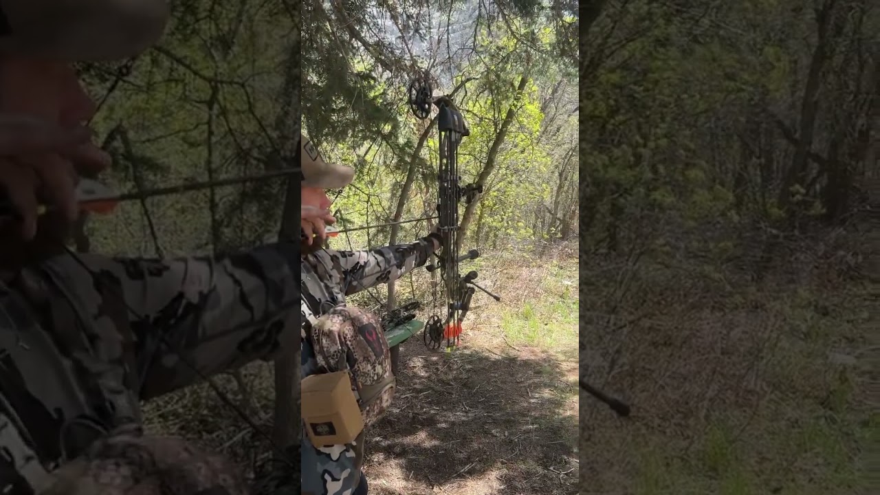 3D target competition! 