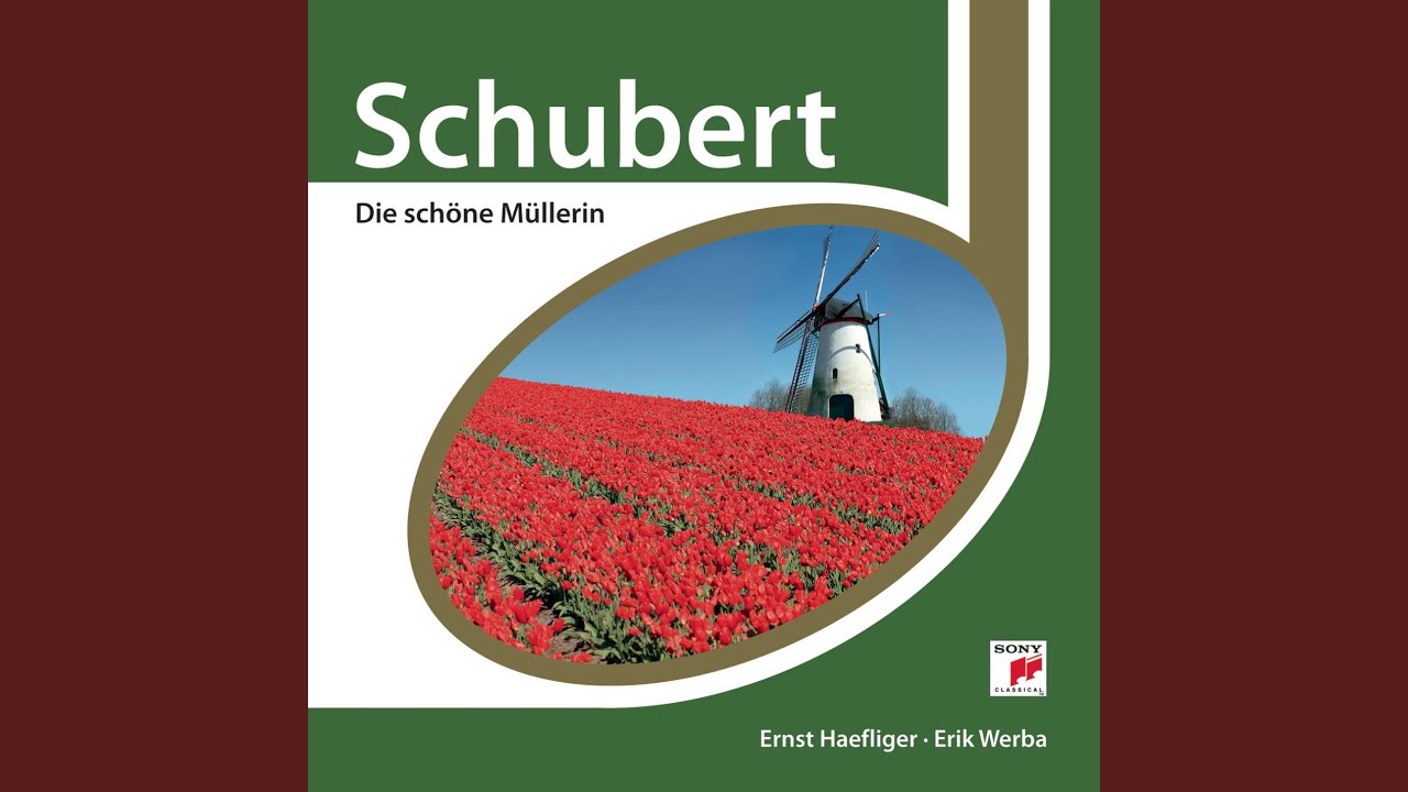 Die schone Mullerin Op. 25: VI. Der Neugierige. Langsam
