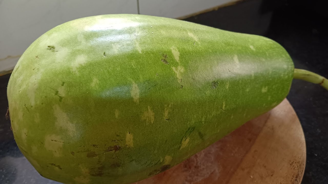 Bottle gourd recipe no onion no garlic/traditional Bengali recipe 