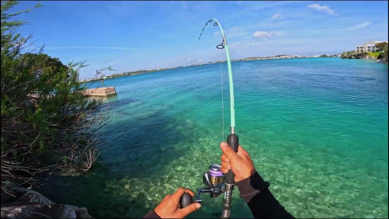 Giant Fish Goes CRAZY Over My Lure!