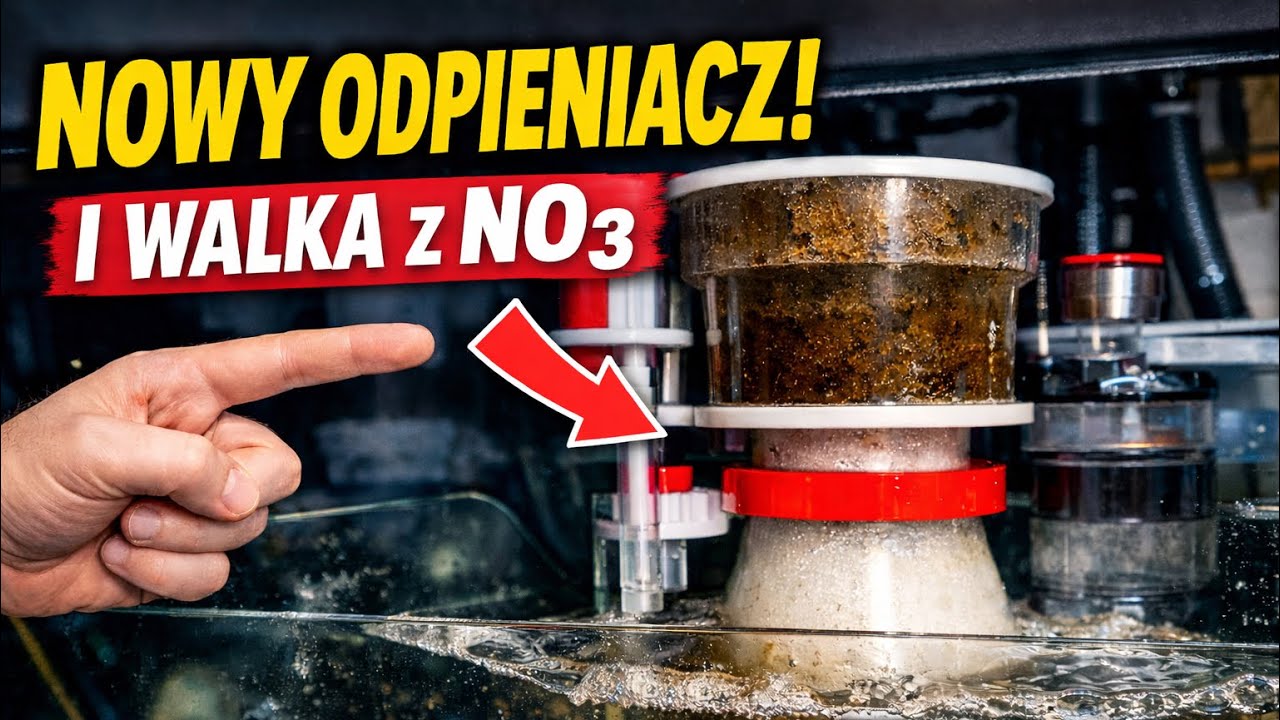 NO3 = 50, VSV i nowy odpieniacz | Bubble Magus A8 #akwariummorskie 