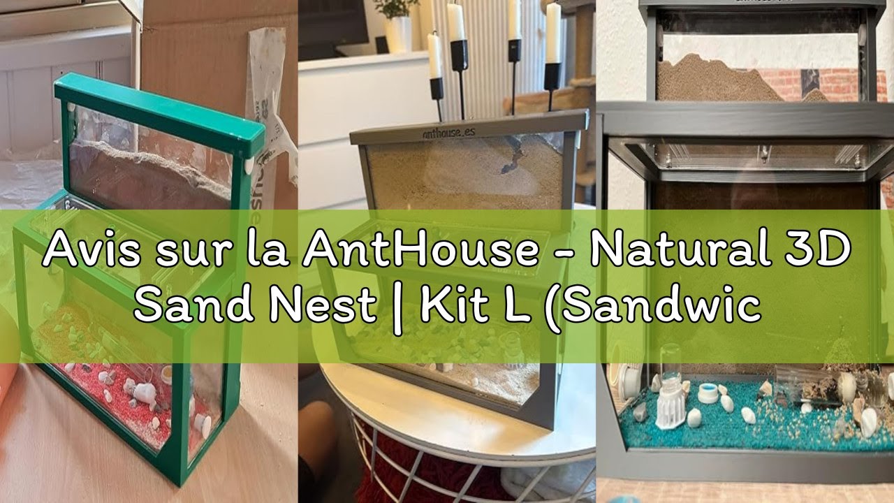 Avis sur la AntHouse - Natural 3D Sand Nest | Kit L (Sandwich + Forage Crate) | Blue Ant Farm | Ant