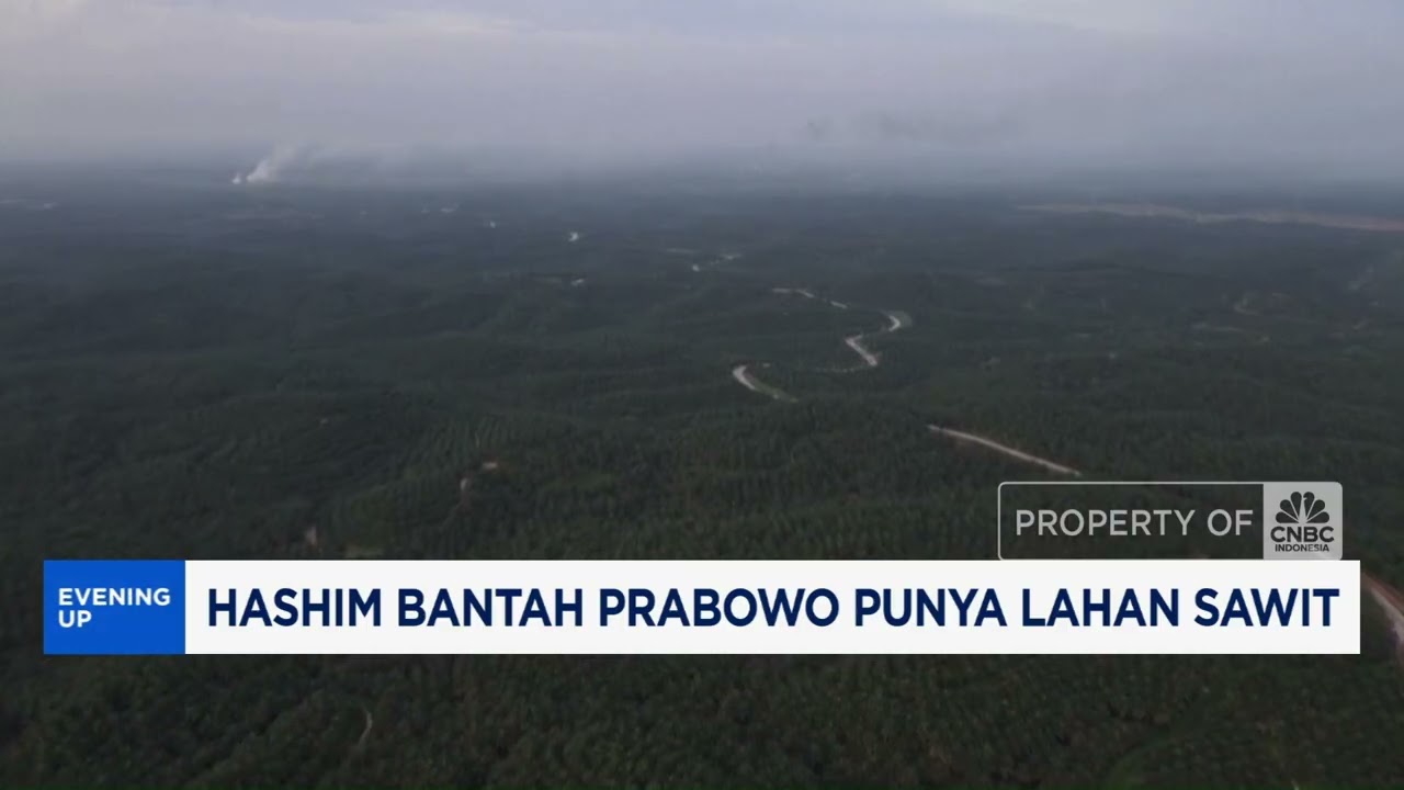 Hashim Bantah Prabowo Punya Lahan Sawit