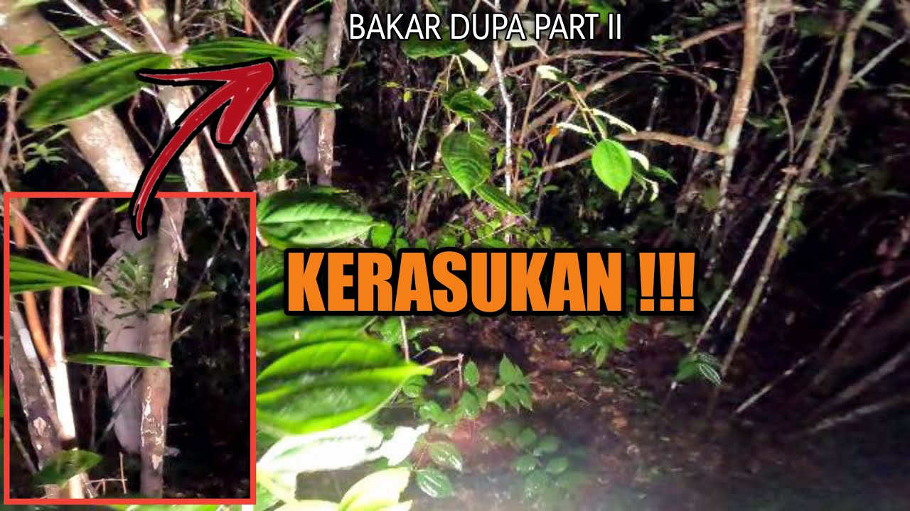 UNDANG MAKHLUK HALUS DENGAN BERBAGAI DUPA!!!