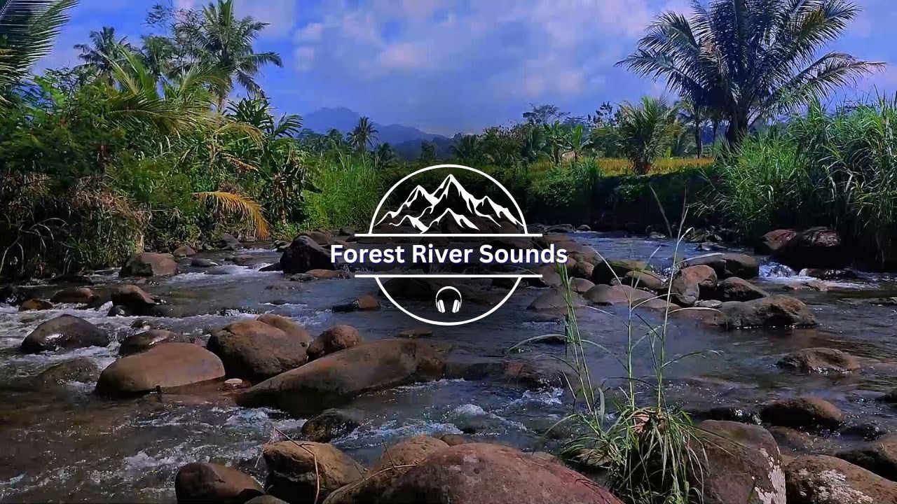 Fall Asleep Fast with 8 Hours of Gentle Forest River Noise