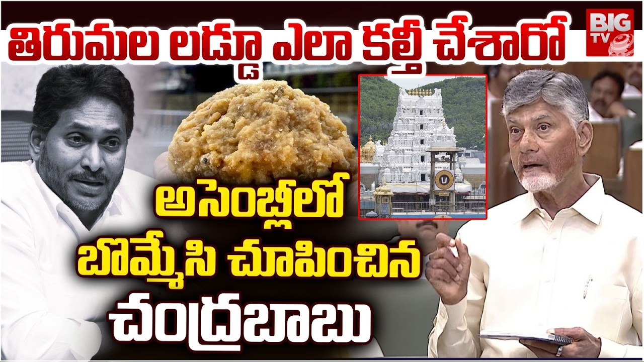 Chandrababu Naidu About Tirumala Laddu Issue | తిరుమల లడ్డూ ఎలా కల్తీ చేశారంటే.. YS Jagan | BIG TV