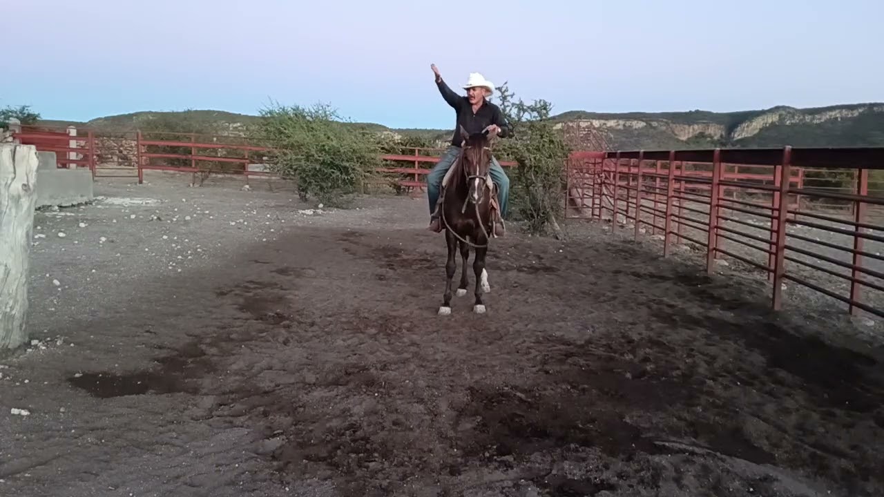 Caballo desbocado, como pararlo? 