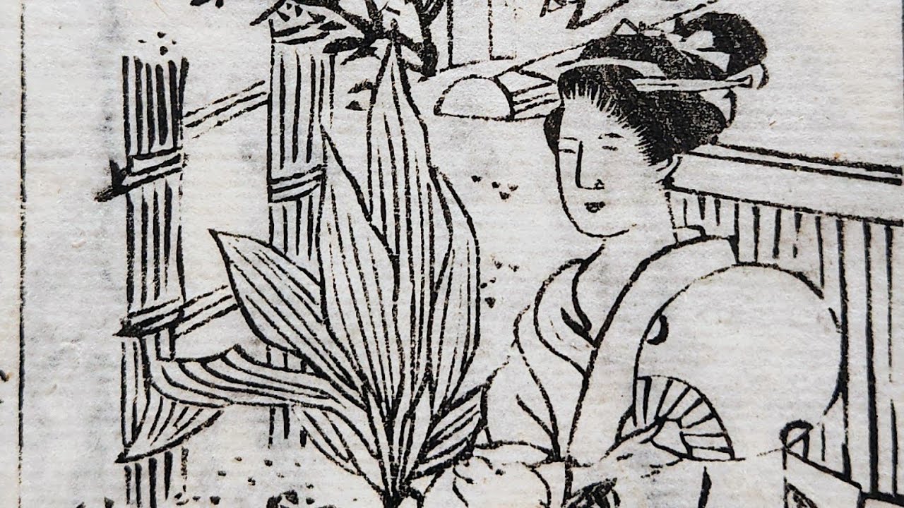 #歴史 #江戸時代 #古文書 ｢人道二十四箇条｣江戸後期再刊行 家内安全 富貴繁栄丸　(3-2)