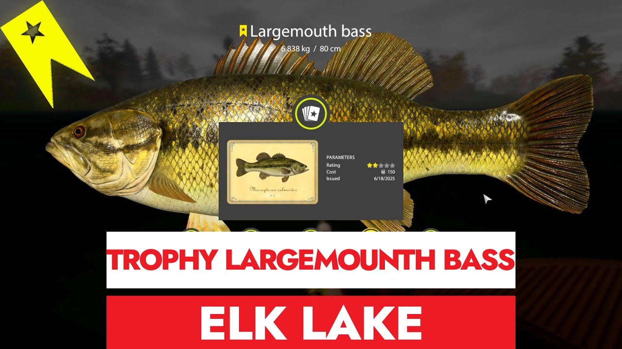 RUSSIAN FISHING 4 - RF4 - TROPHY LARGEMOUNTH BASS -  ELK LAKE