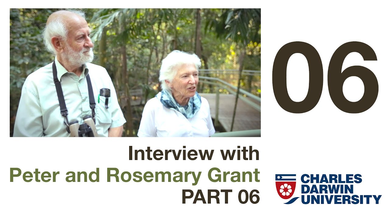 More on Finch behaviour. - Grants Interview part 06