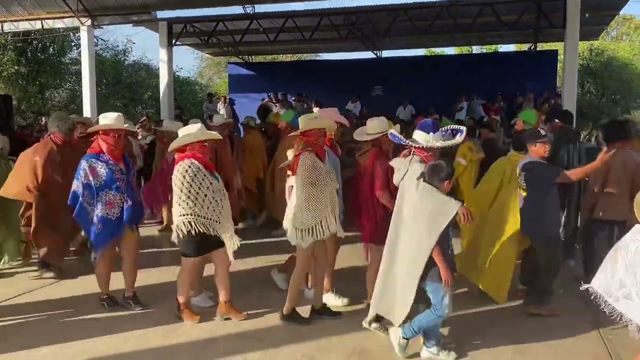 Carnaval en el plan del encinal Ixhuatlán de Madero v. 4 / 3/2023