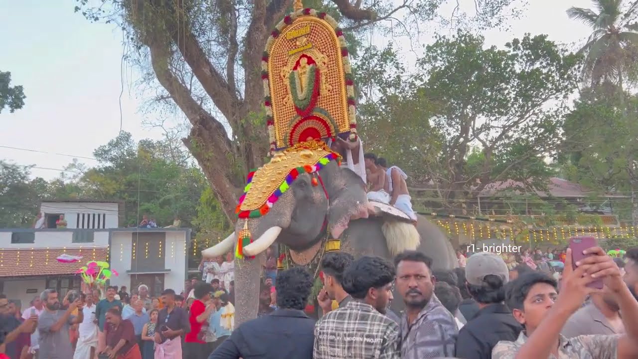 2026 പൂരത്തല്ല് 🔥🔥അന്നംകുളങ്ങര പൂരം 