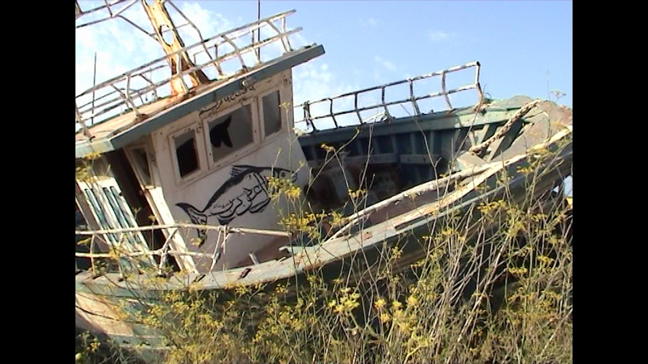 Barche (Boats)