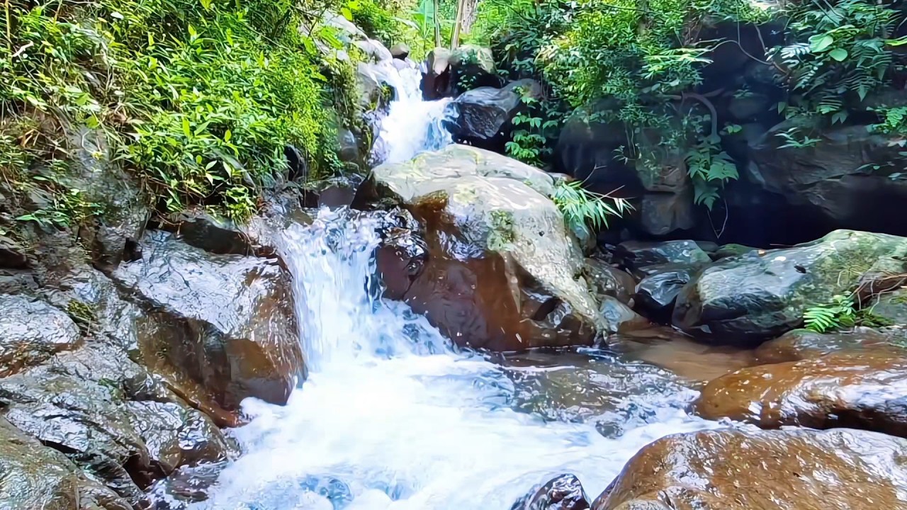 Natural River Sounds for Calm Breathing