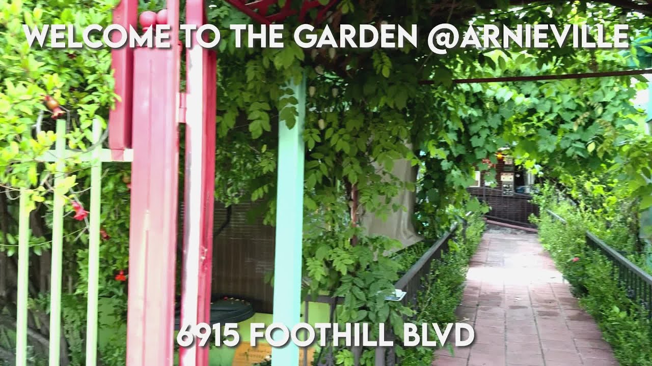 Discover The Garden @ArnieVille: Family-Friendly Fun, Delicious Dishes - LA's Premier Event Venue!