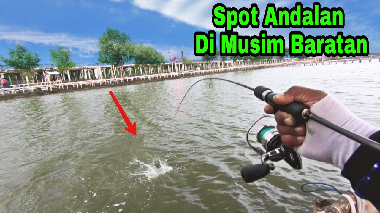 Pakai Umpan Ini Bisa Pesta Strike||Tambak Pak Sugeng||Mancing Semarang