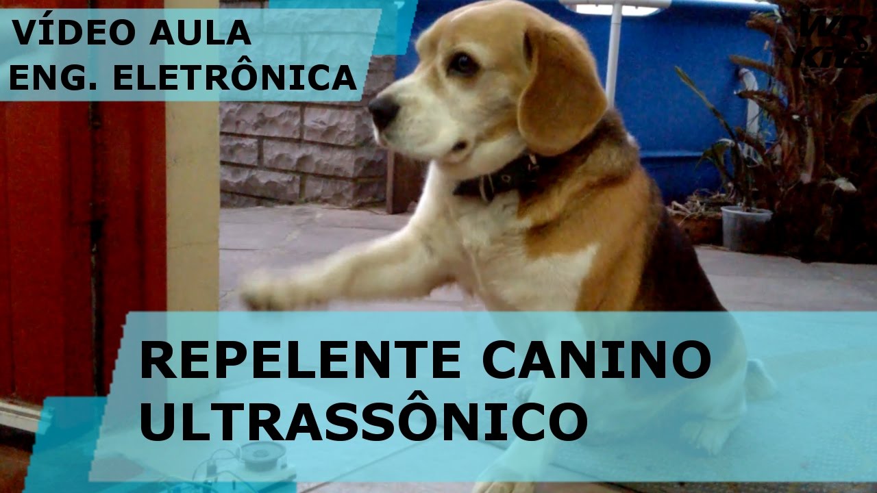 REPELENTE CANINO ULTRASSÔNICO