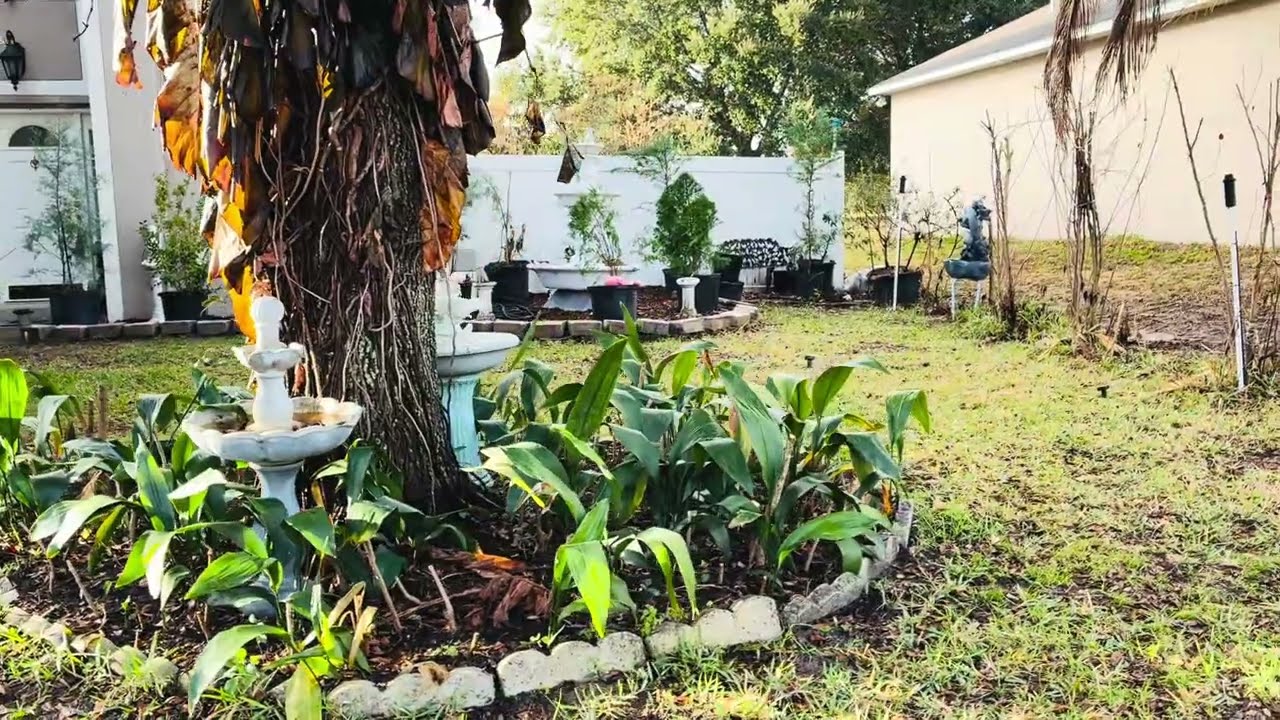 How I start a brand new garden on the front yard, ￼February 2026