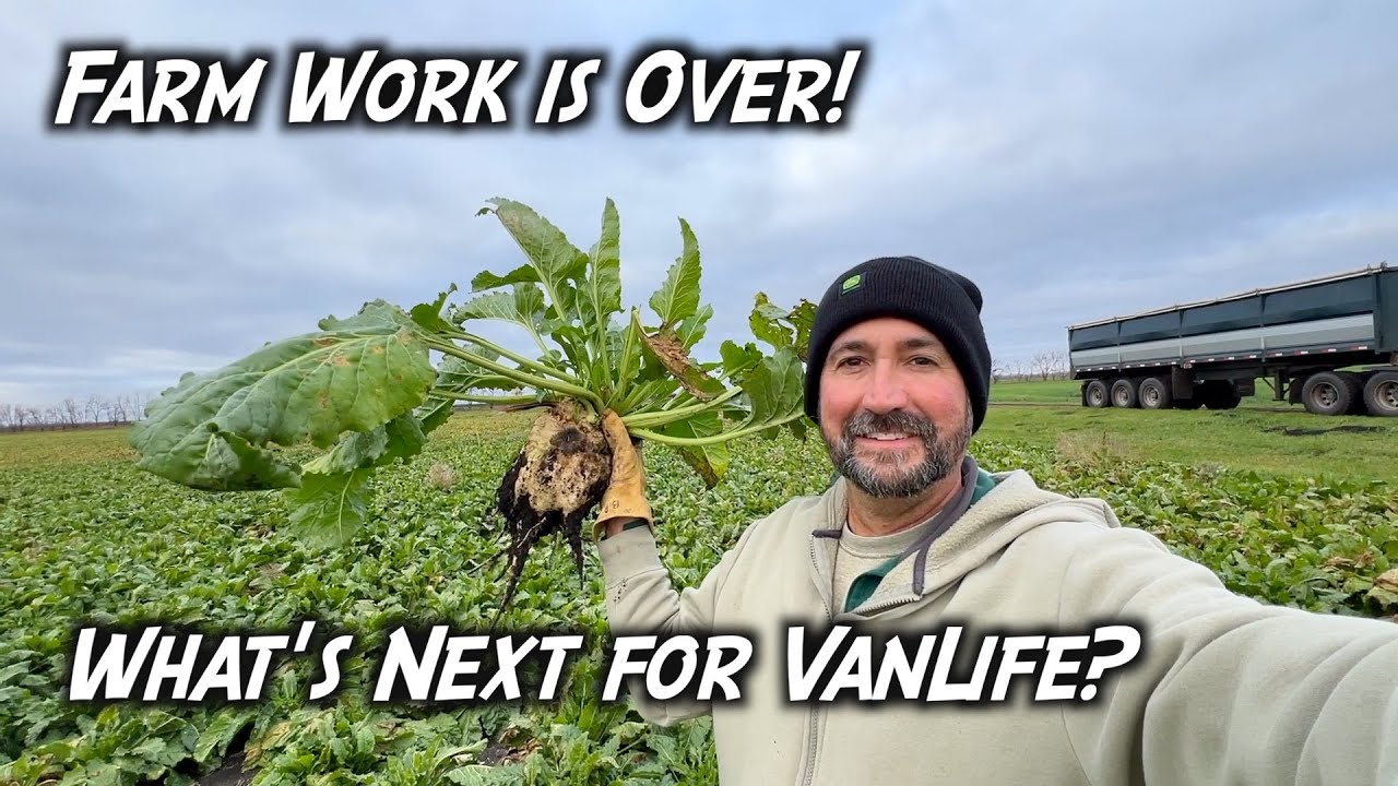 Seasonal Work and VanLife at Age 50