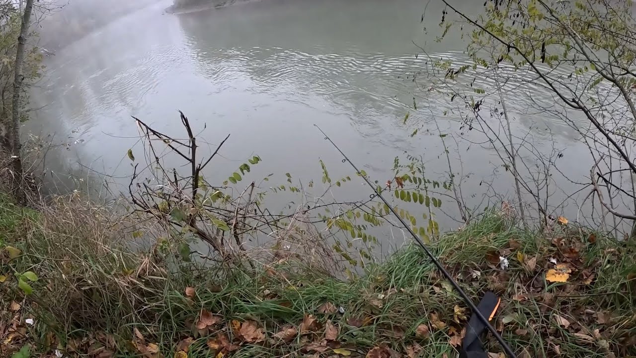 Осенняя рыбалка на реке Сунжа. Любительская рыбалка в Чечне.