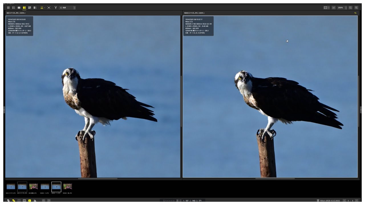 【比較】600mmレンズの画質を比べてみた - Z 600mm f/6.3 VR S × Z 180-600mm f/5.6-6.3 VR
