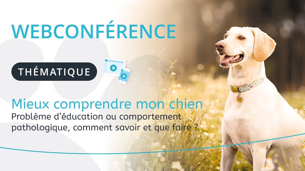 Mieux comprendre mon chien - &eacute;ducation & comportement
