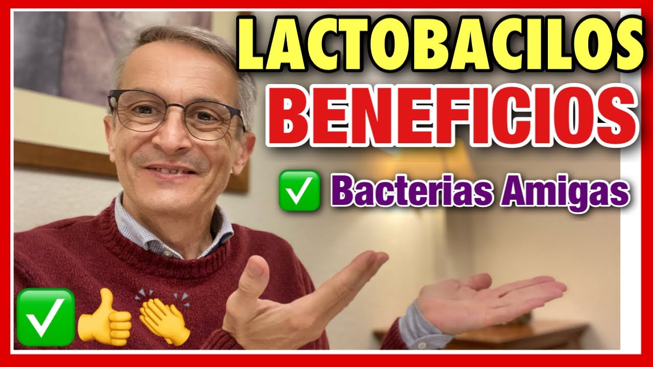 LACTOBACILLUS 👉 BENEFICIOS ❤️ MICROBIOMA ⭐️BACTERIAS AMIGABLES