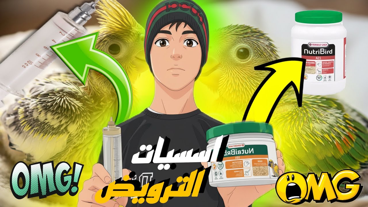 أسرار الترويض للمبتدئين🤫👍 لا تبدأ الترويض قبل ما تشوف هاد الأدوات المهمة🙏🏻🦜😍