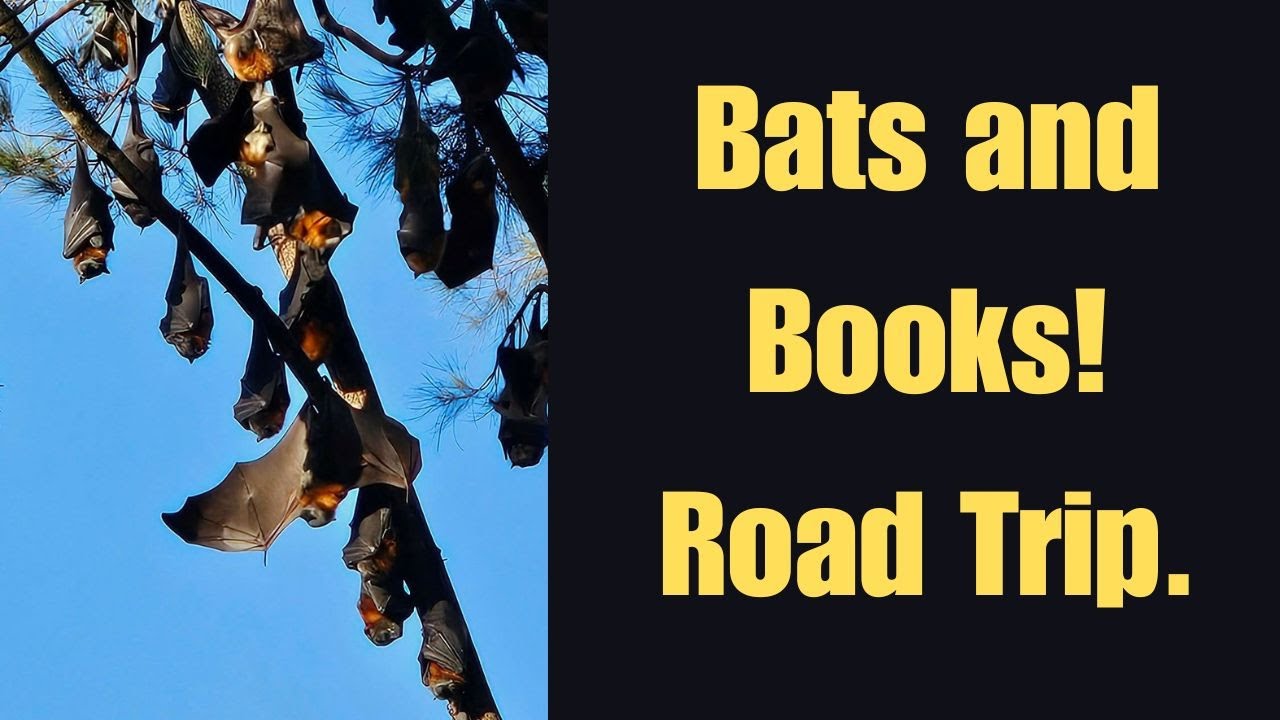 Overnight Trip to Gympie | Book Finds, Trains & Bats!