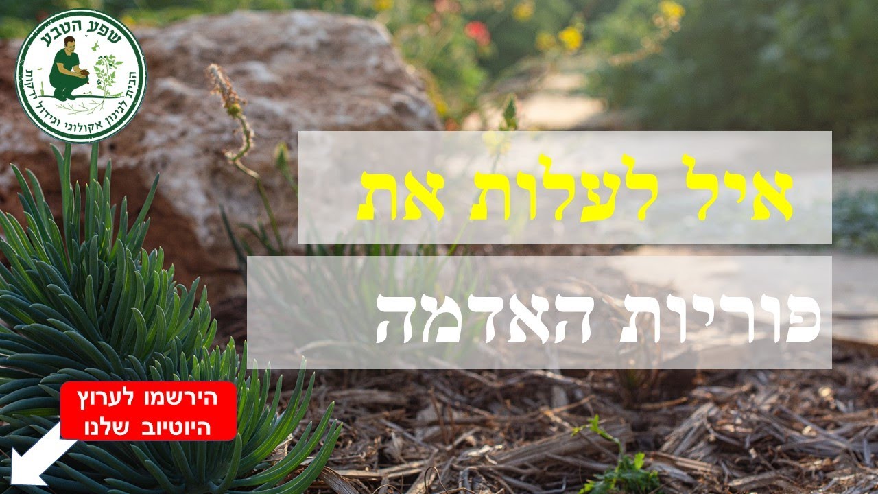 איך לעלות את פוריות האדמה