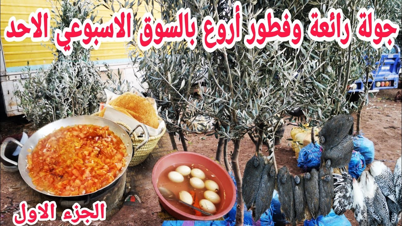 جولة رائعة وفطور أروع في السوق الاسبوعي الأحد باليوسفية