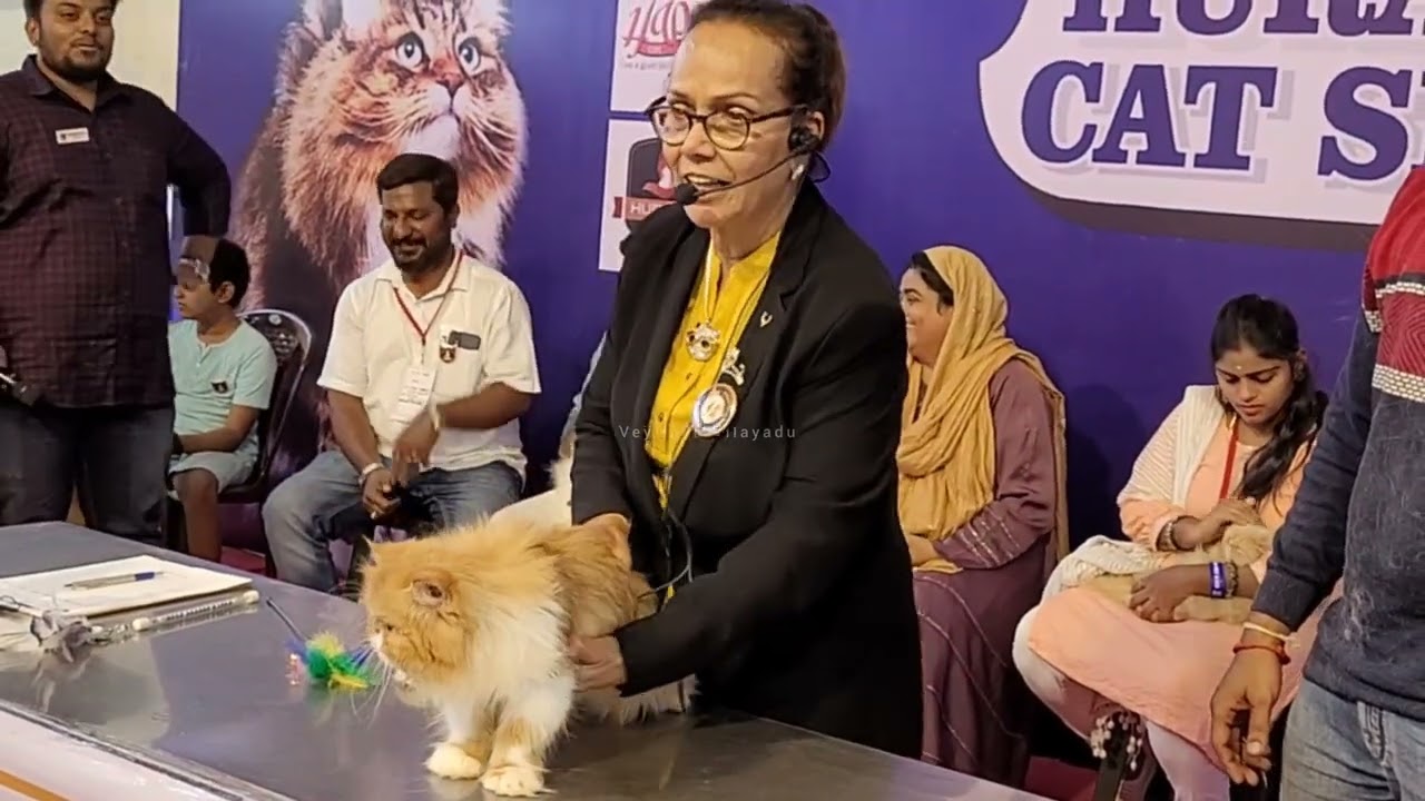 International Cat 🐈 Show 2023 Salem