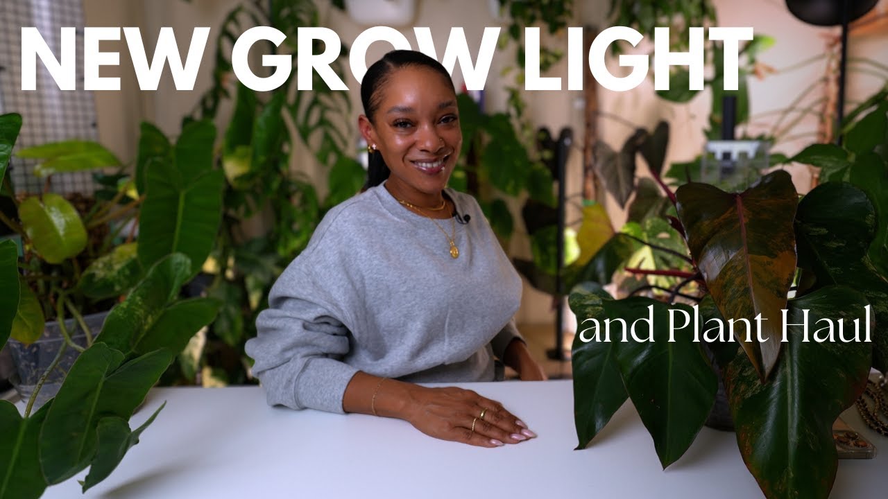 Metry Grow Light Review| New Plant | Plant Love