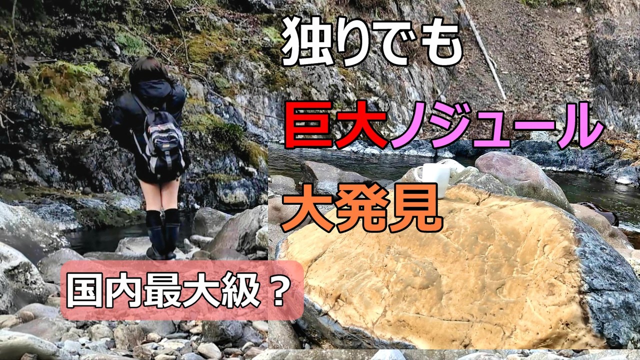 【化石】衝撃！巨大コンクリーションに隠された太古の秘密！野生のイノシシと遭遇することもある秘境