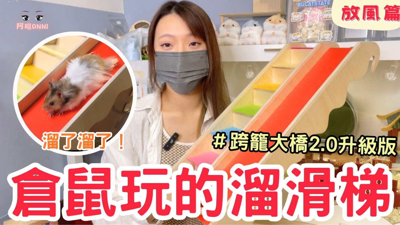 黃金鼠到底能不能玩溜滑梯？讓黃金鼠自己出去玩一天還會回家嗎？Can hamsters play on slides?