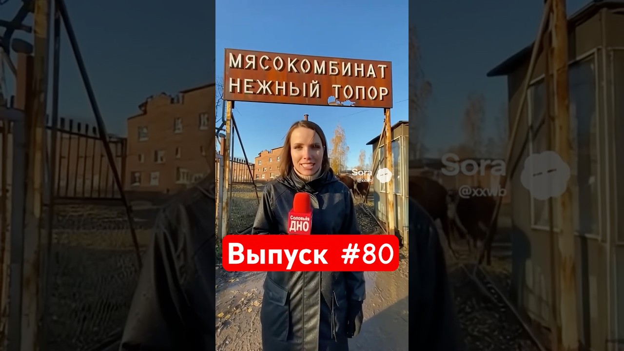 ЗАДРЫЩЕНСК Выпуск #80 | Деревенский Мясокомбинат #задрыщенск #кино #фильм