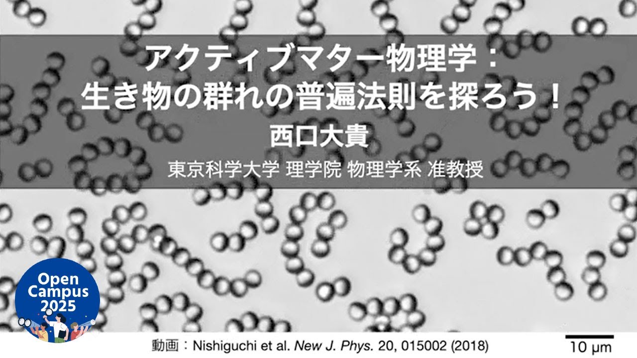 アクティブマター物理学：生き物の群れの普遍法則を探ろう！｜東京科学大学 理工学系オープンキャンパス 2025