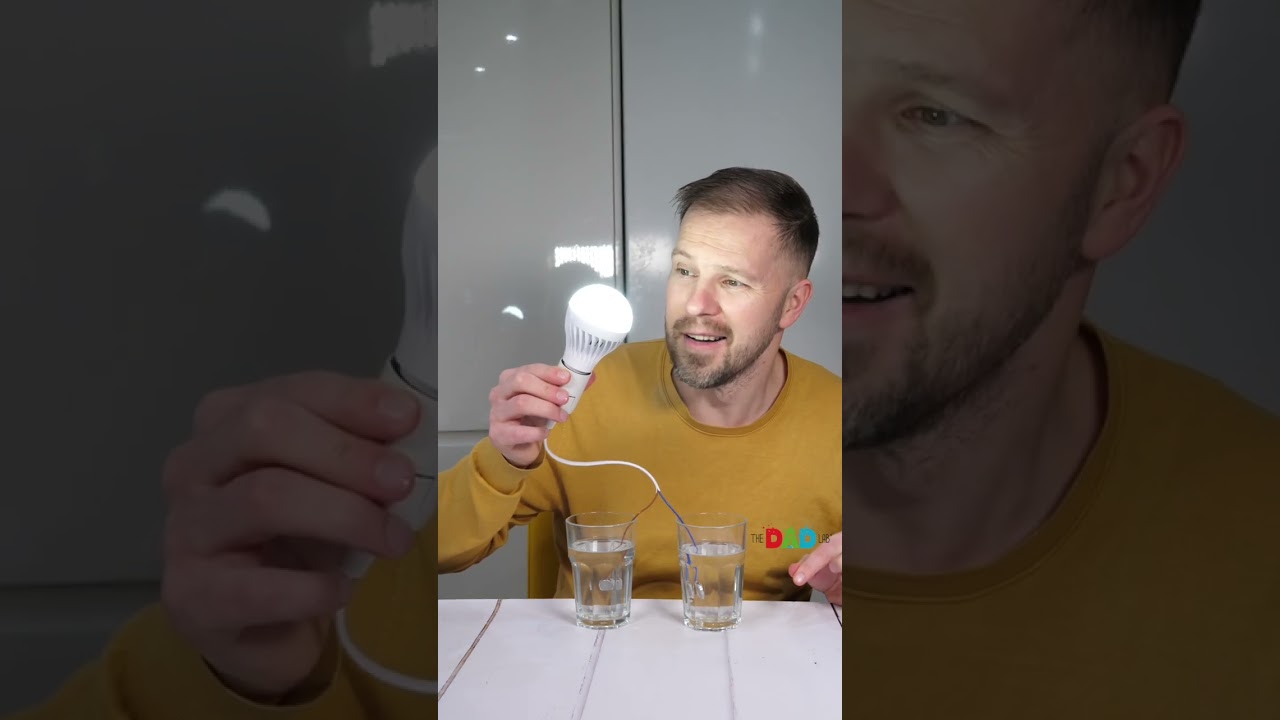 Checking If Salt Water Can Produce Free Electricity