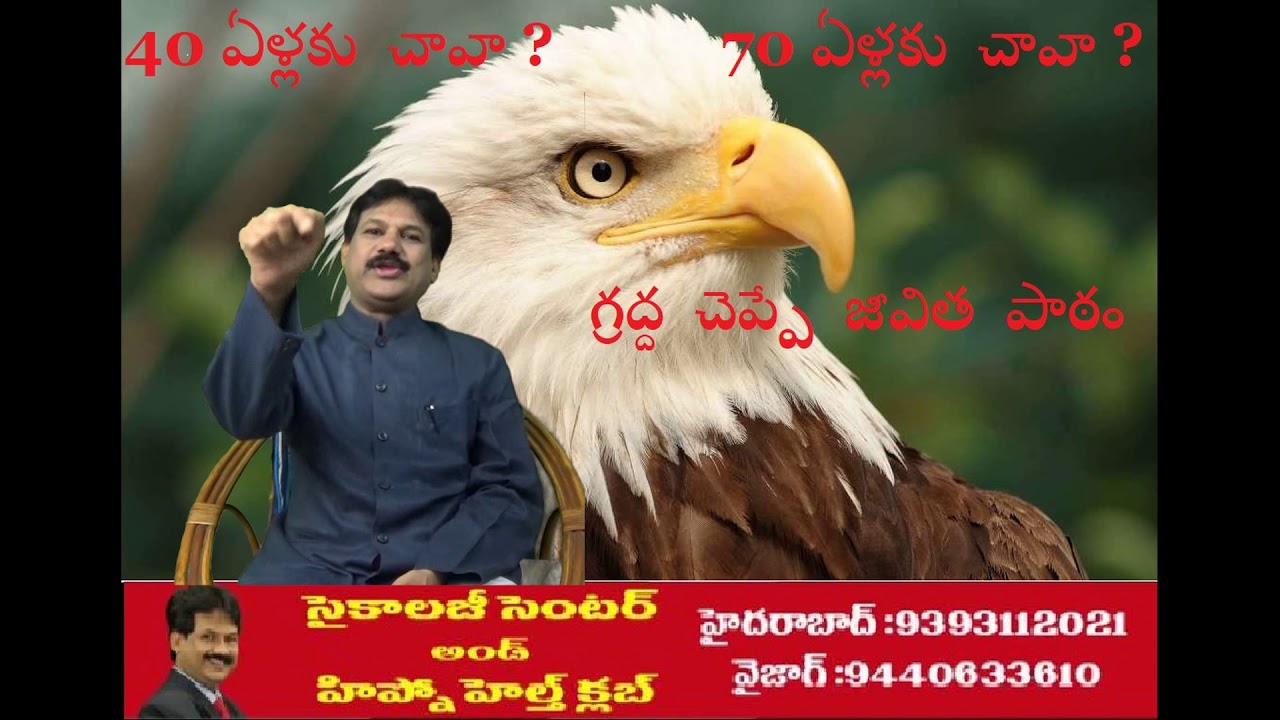 Eagle Lesson for Health and Longevity-KRANTIKAR -PSYCHOLOGY & HYPNO THERAPY