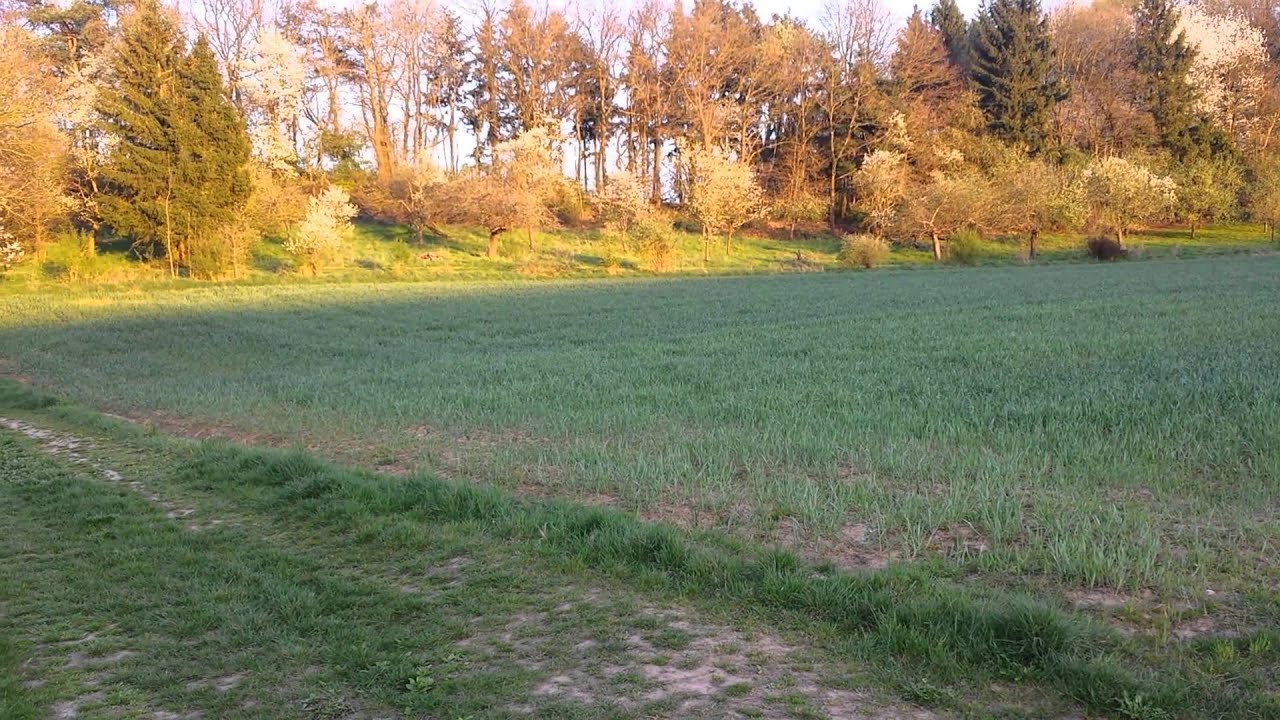 360 in Weilerbach