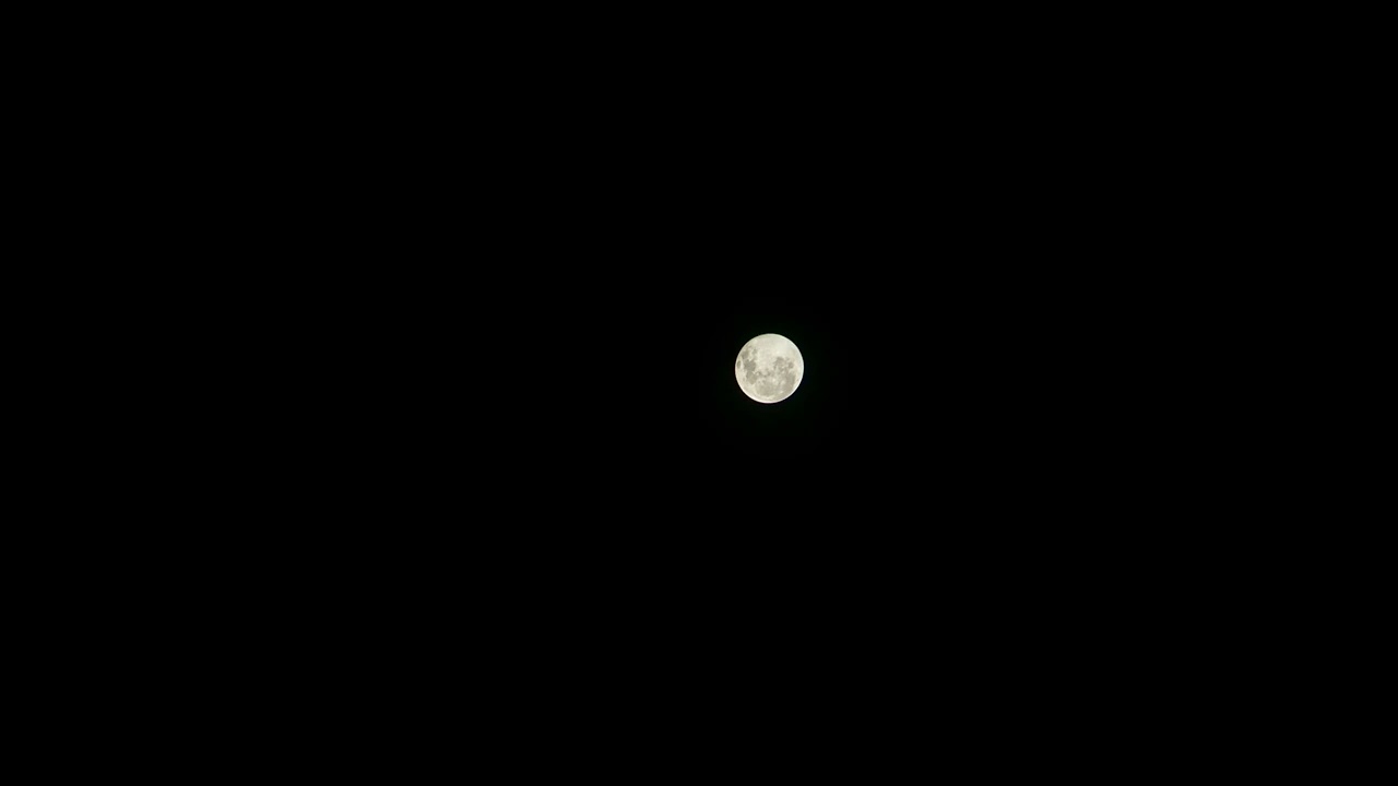moon - julie