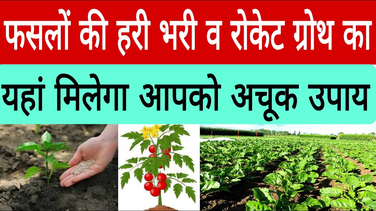 किसी भी फसल में हरी-भरी वह अच्छी ग्रोथ ना आने की समस्या से ना हो परेशान |