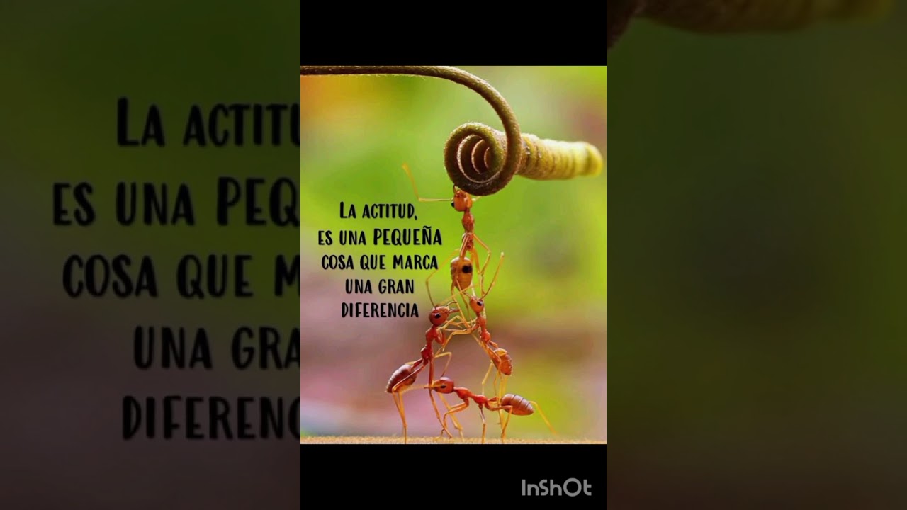 Adversidad 