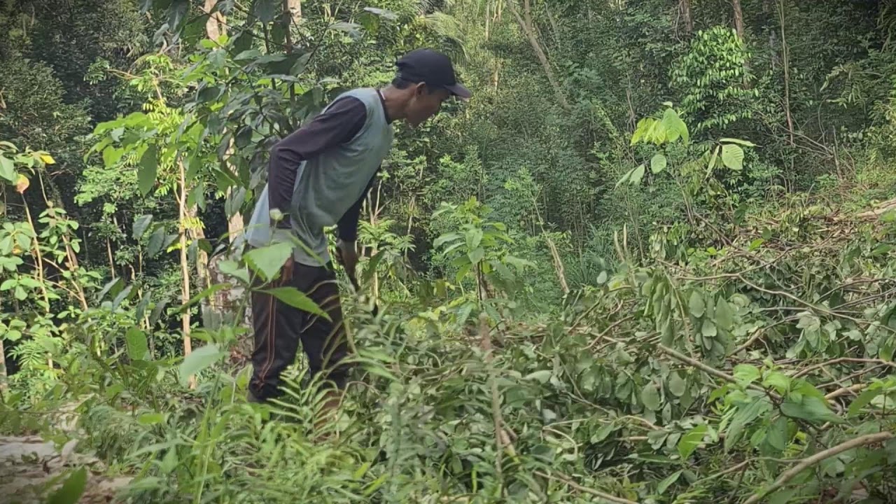 Sharp Blade Skill: Chopping Twigs for Sustainable Cooking Fuel _FarmersLife _Shorts
