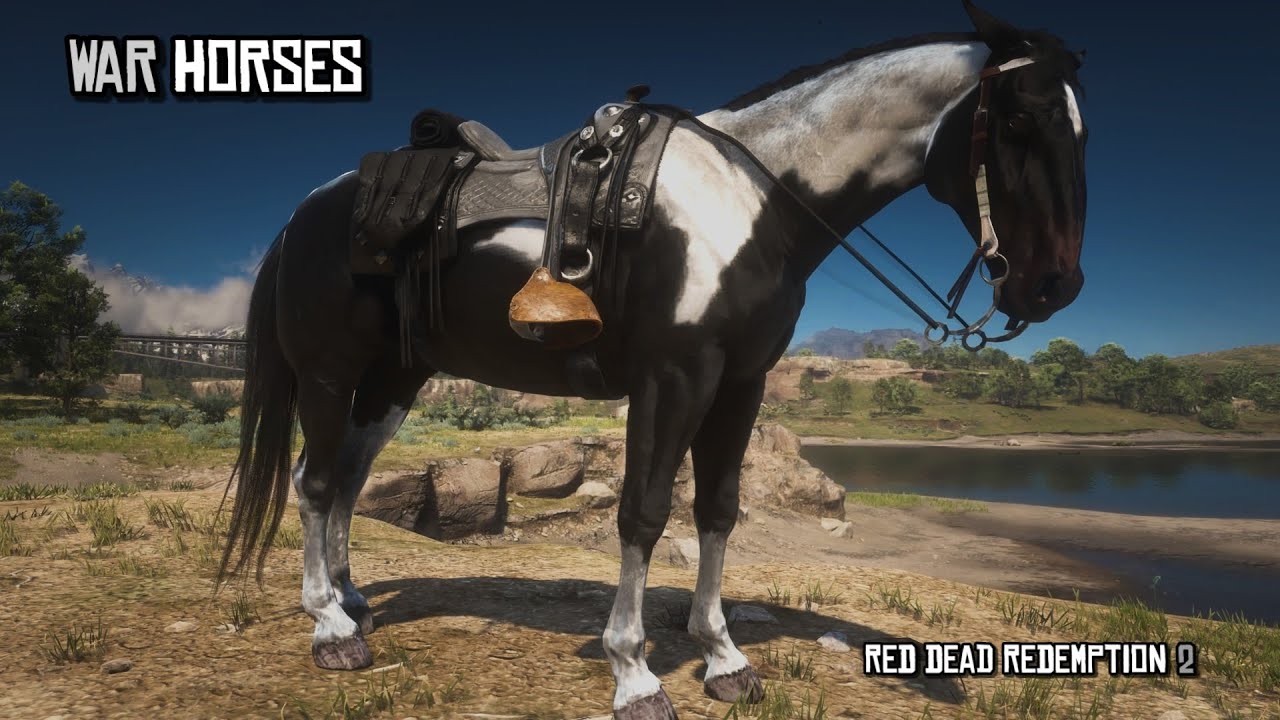 5 Best War Horses for Arthur in Chapter 2 | Red Dead Redemption 2