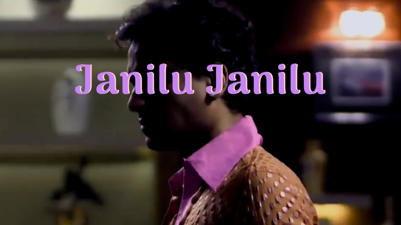 Zubeen Garg - Janilu Janilu (Lov5 Remix)