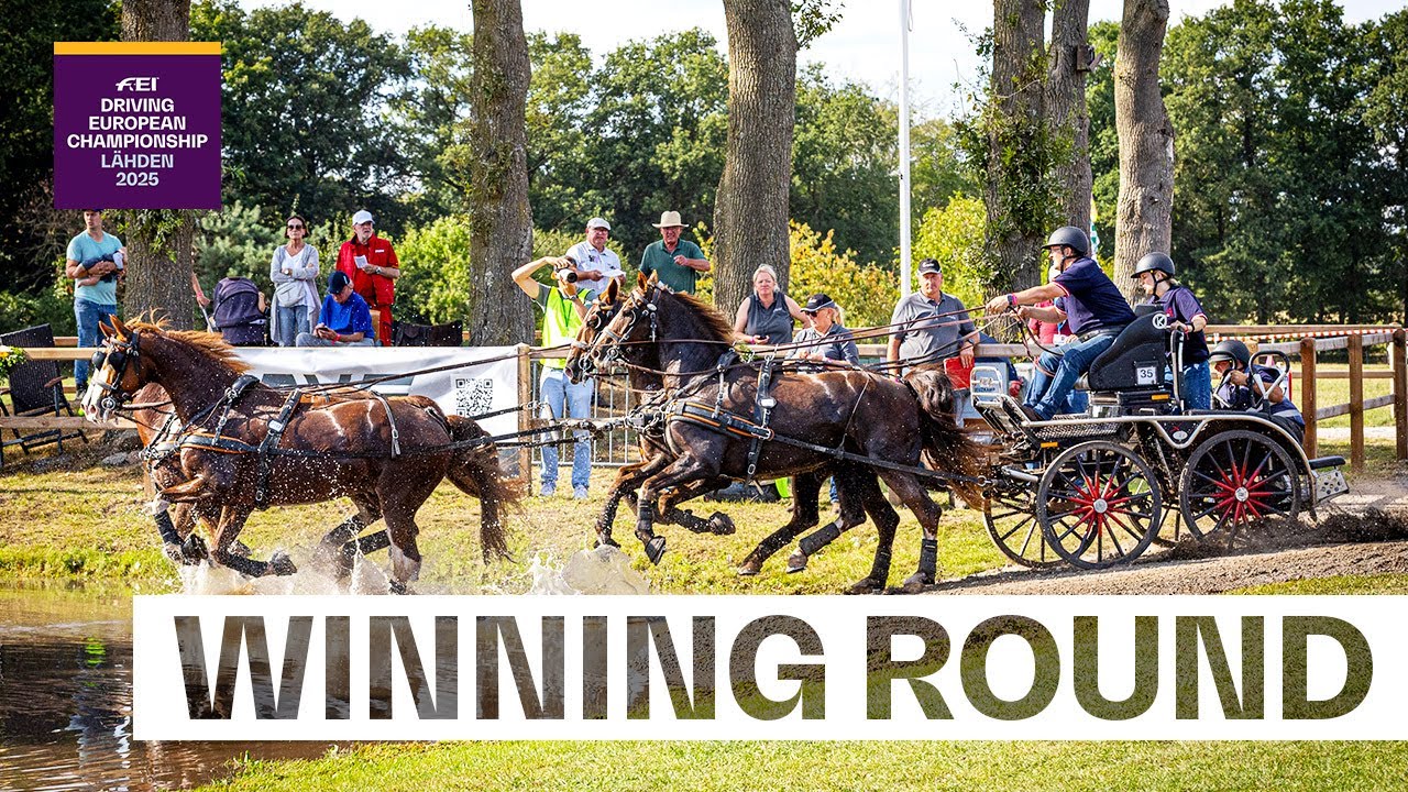 Daniel Schneiders the Marathon Master! 🔥 | FEI Driving European Championship L&auml;hden 2025